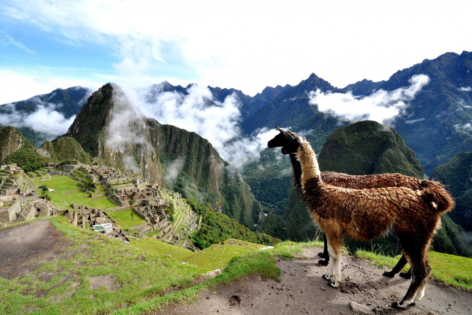 spiritual-yoga-retreat-to-peru-with-thrive-yoga-fitness-thrive-yoga